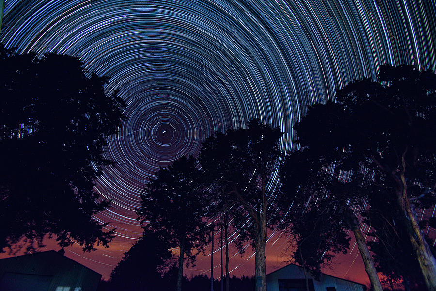 Nature Photograph - North star trail by Andy Wisdom