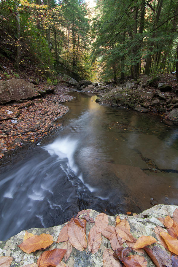 North Suck Creek Fall Photograph by Paul Rebmann