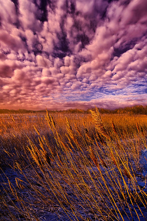 Sunset Photograph - North Wind by Phil Koch