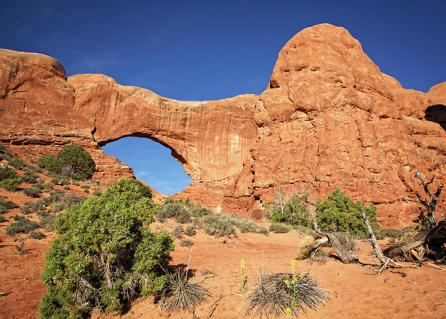 North Window Arch at Arches Park in Utah Photograph by Steven Upton
