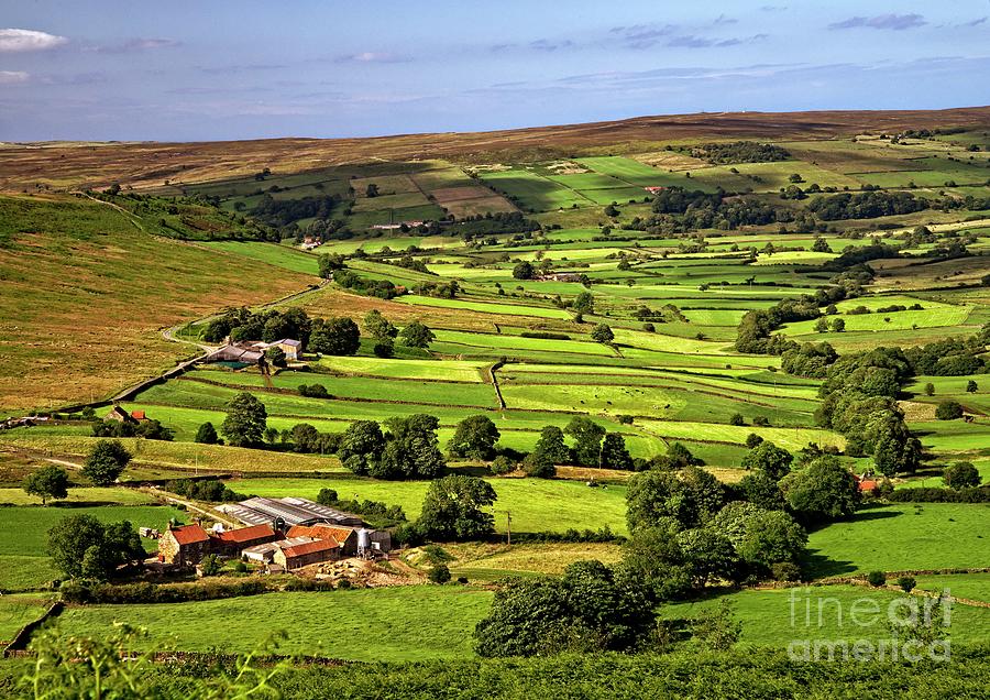 North York Moors countryside Photograph by Martyn Arnold