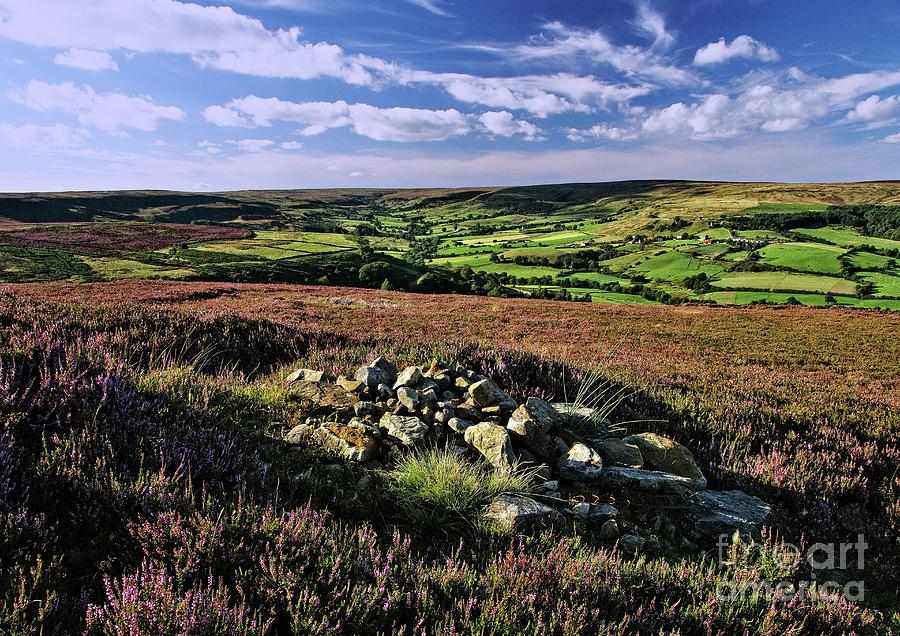 North York Moors Landscape Photograph by Martyn Arnold