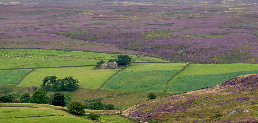 North Yorkshire Moors Photograph