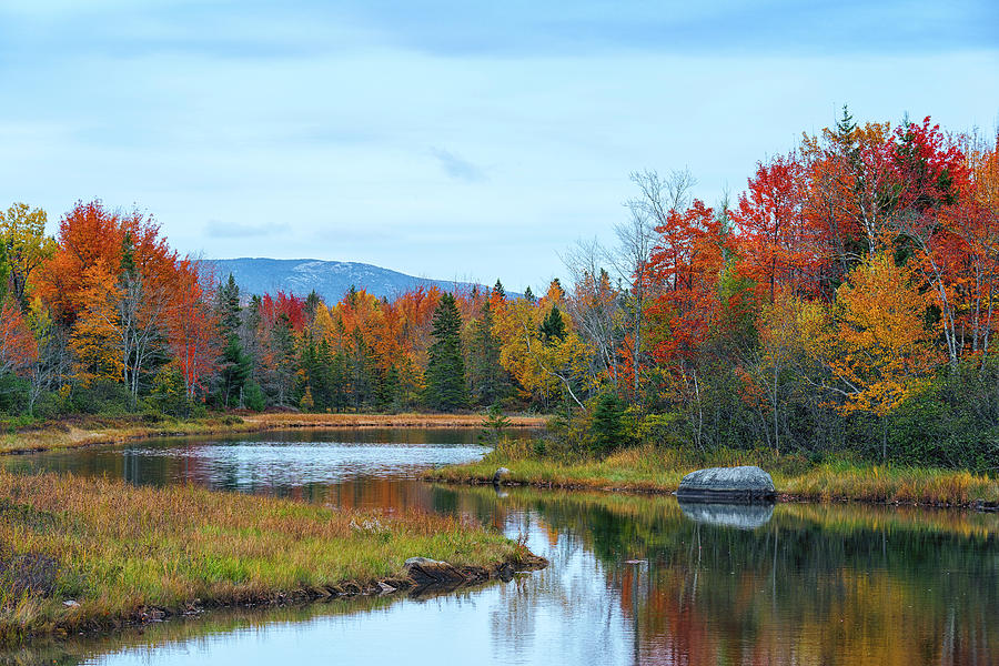 Northeast Creek Fall Foliage Photograph by Dennis Kowalewski