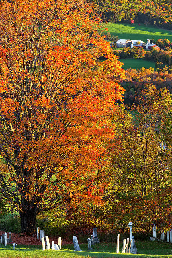 Northeast Kingdom Fall Landscape Photograph by Alan L Graham