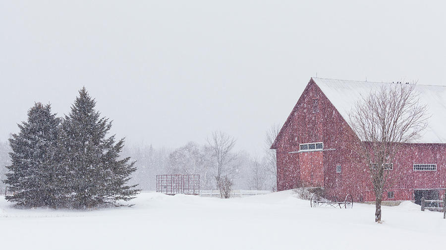 Northeast Kingdom Snowfall Photograph by Alan L Graham