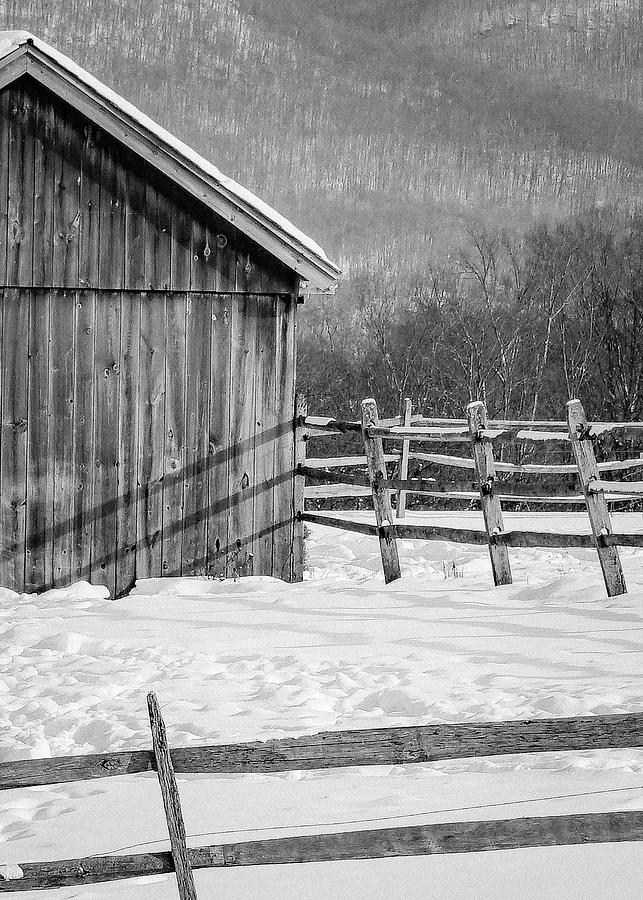 Northeast winter Photograph by Kendall McKernon