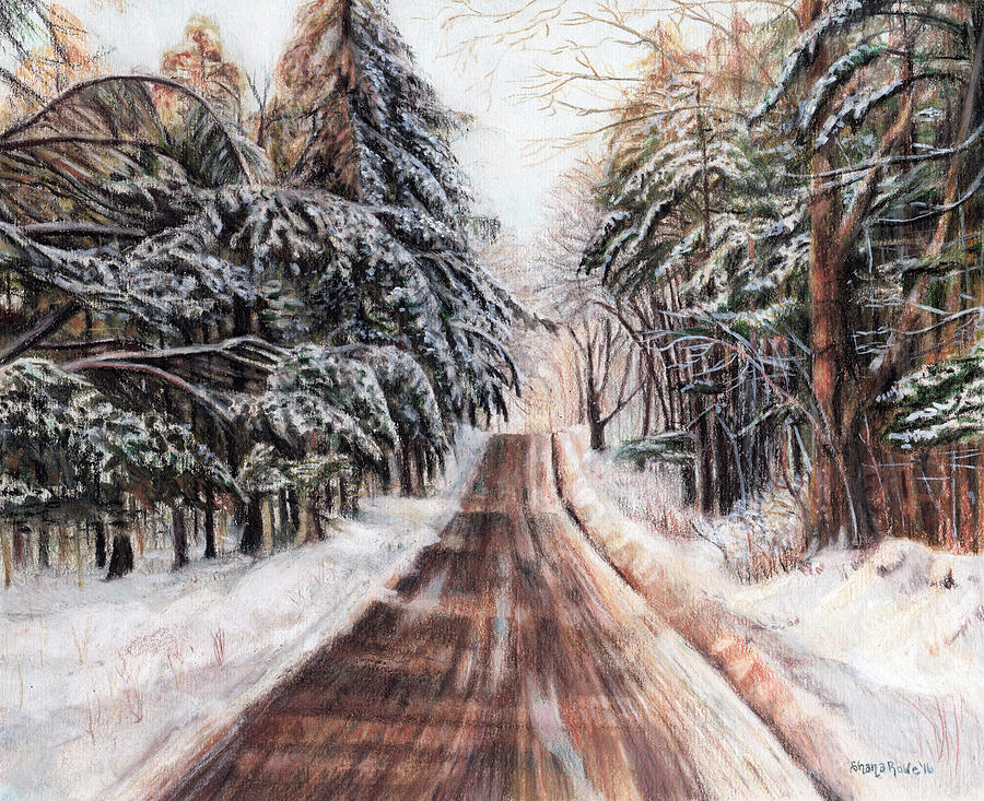 Northeast Winter Drawing by Shana Rowe Jackson