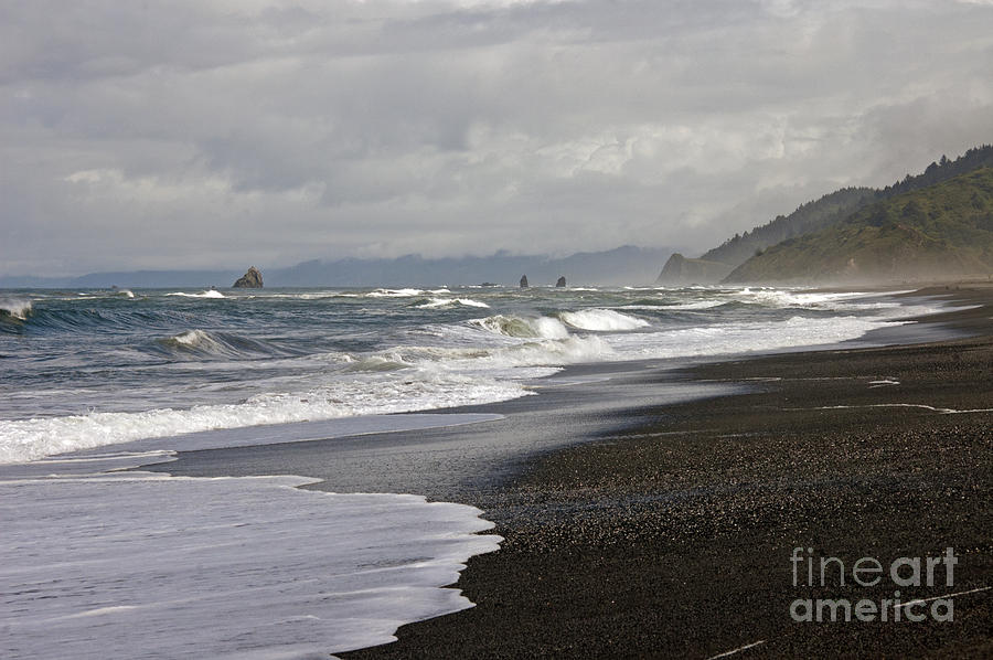 Northern CA Coast Photograph by Cindy Murphy - NightVisions 