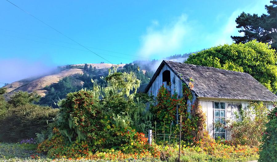 Northern California Cottage Photograph by Lisa Dunn