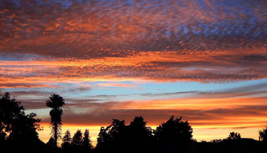 Northern California Sunset Photograph