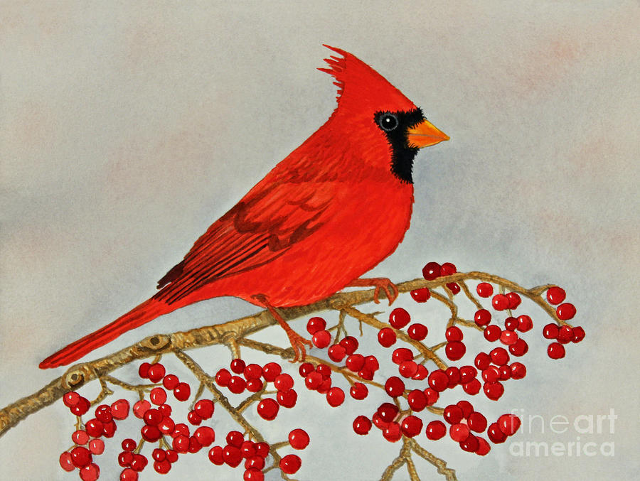 Northern Cardinal Painting by Norma Appleton