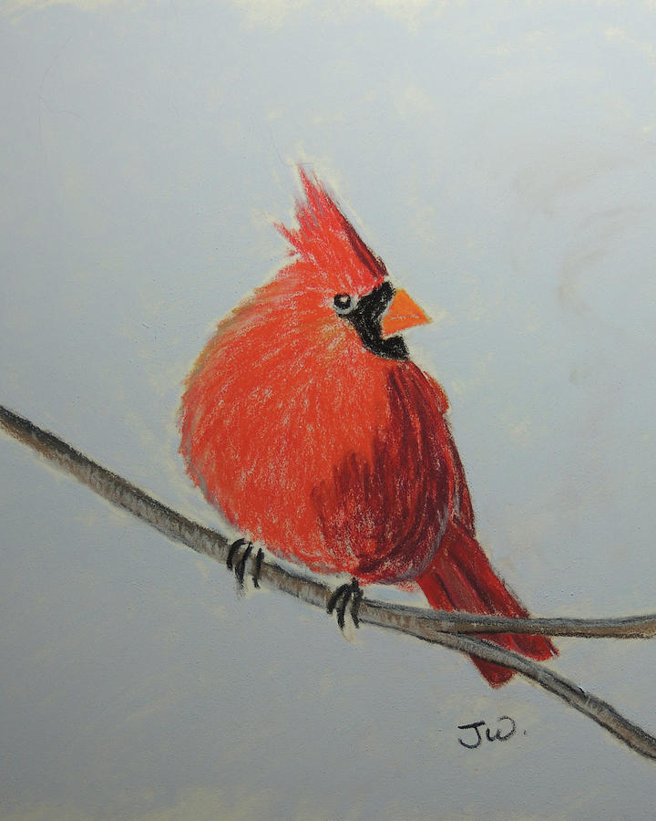 Northern Cardinal On Branch Painting