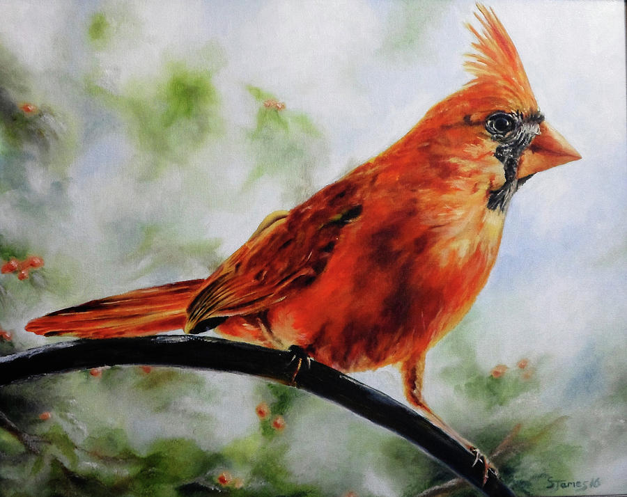 Winter Cardinal Painting By Steve James 