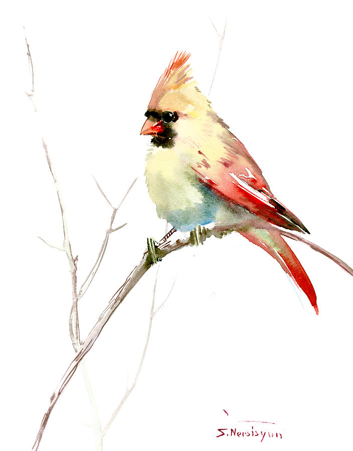 Northern Cardinal,female Painting by Suren Nersisyan