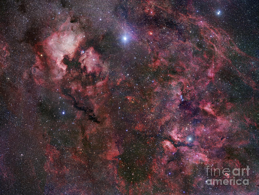 Interstellar Photograph - Northern Cygnus by Robert Gendler