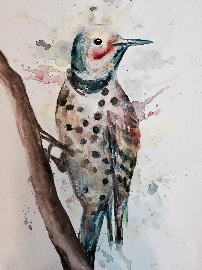 northern flicker painting