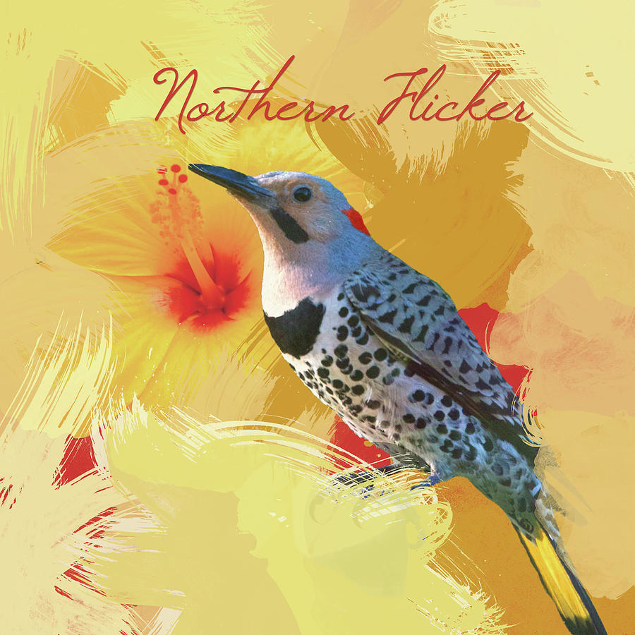Northern Flicker Watercolor Photo Photograph by Hermes Fine Art