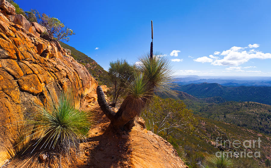 Northern Flinders Ranges and the ABC Range Photograph by Bill  Robinson