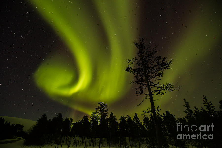 Nature Photograph - Northern light in Finland by Gabor Pozsgai