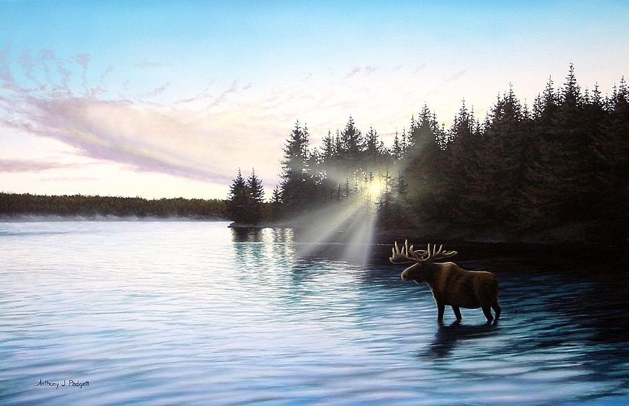 Northern Light - Moose Painting by Anthony J Padgett