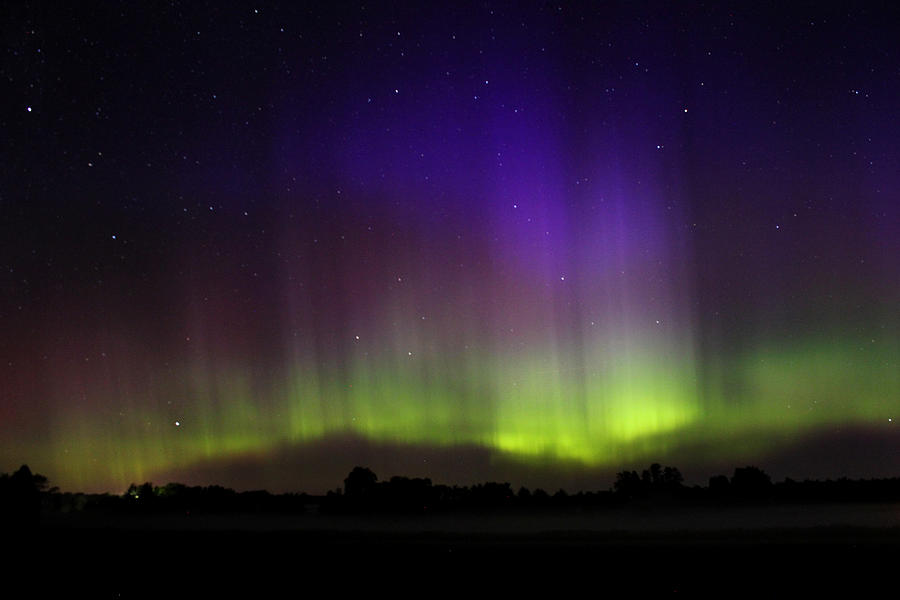 Northern Lights 5 Photograph by Brook Burling