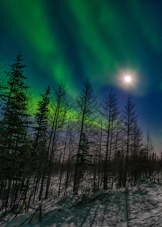 Northern Lights And Full Moon Photograph By Brent Hussin