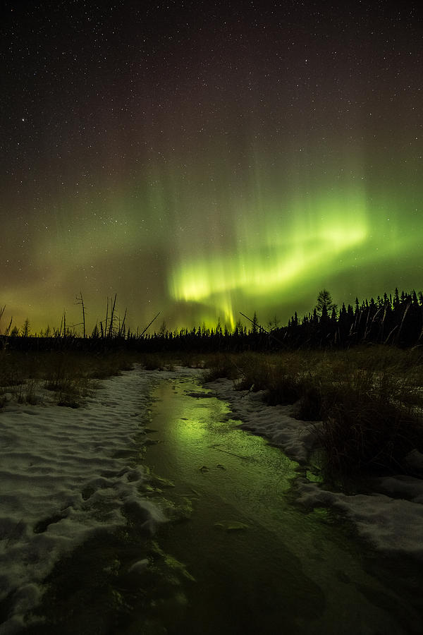 Northern Lights at the Sleeping Giant Provincial Park Photograph by Jakub Sisak