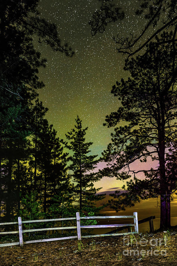 Northern Lights Big Pines -2022 Photograph by Norris Seward