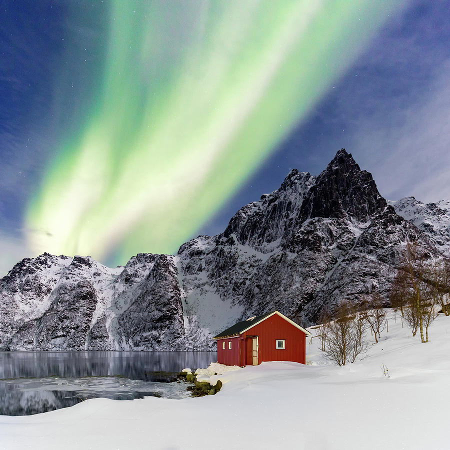 Northern lights in Norway Photograph by Francesco Riccardo Iacomino