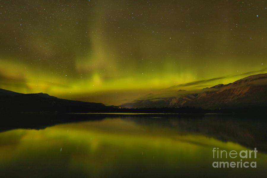 Northern Lights In The Canadian Rockies Photograph by Adam Jewell