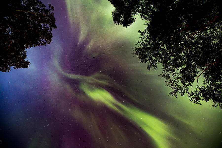 Northern Lights in the CIty Overhead 02 Photograph by Jakub Sisak