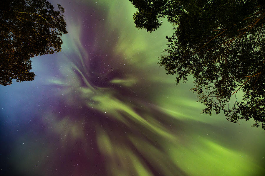 Northern Lights in the CIty Overhead 04 Photograph by Jakub Sisak