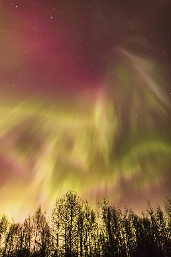 Northern Lights In The Sky Above Cook Photograph by Kevin Smith