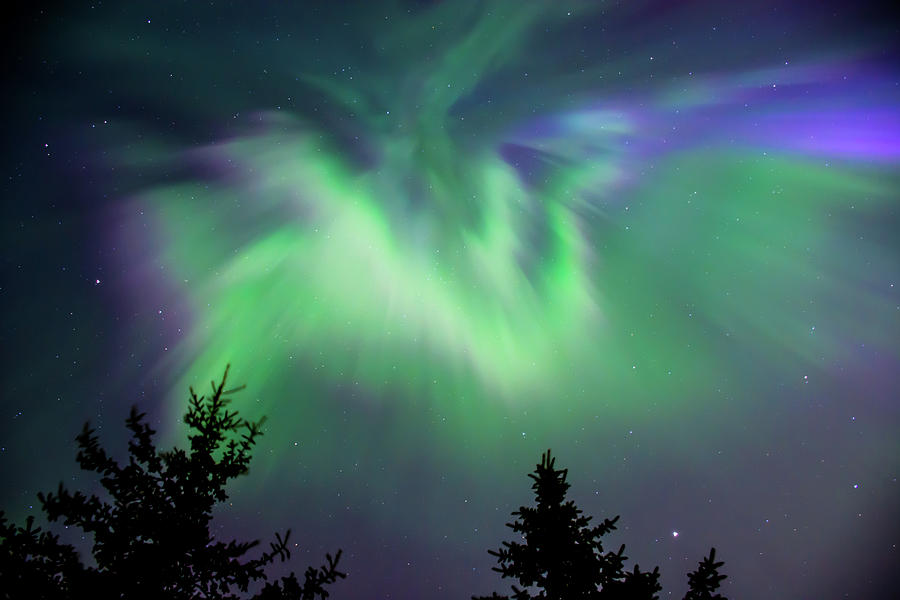 Northern Lights Photograph by Josh Semrok | Fine Art America