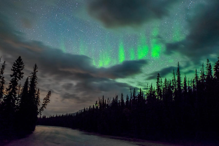 Northern Lights over Jasper Photograph by Matt Hammerstein