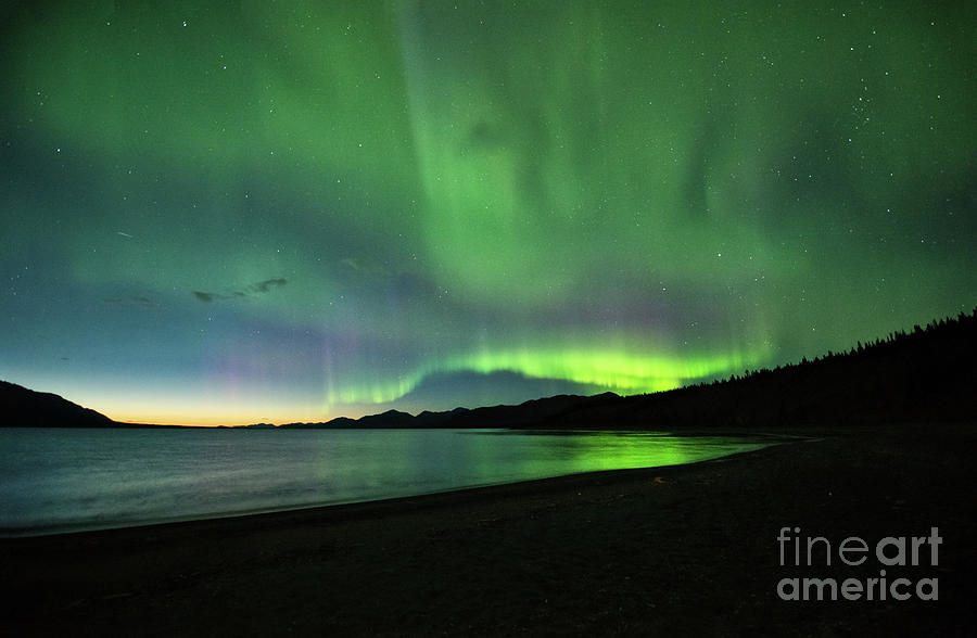 Northern Lights over Kluane Lake Photograph by Ed McDermott