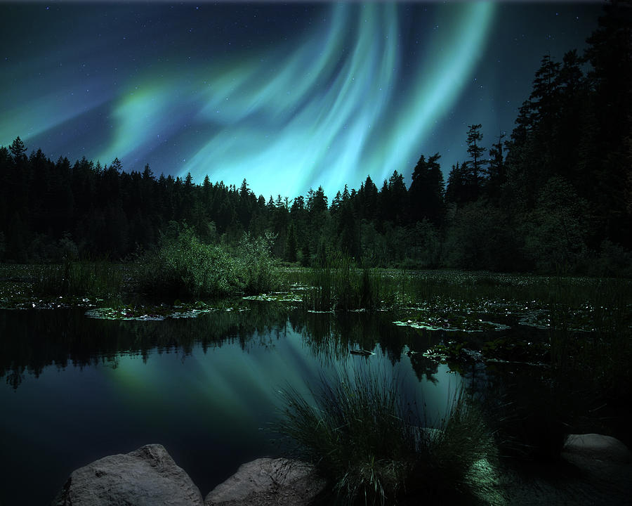Northern Lights Over Lily Pond Photograph by Gigi Ebert