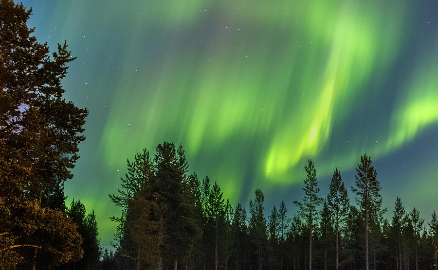 Northern Lights Sapmi Forest Karasjok Norway Photograph by Adam Rainoff
