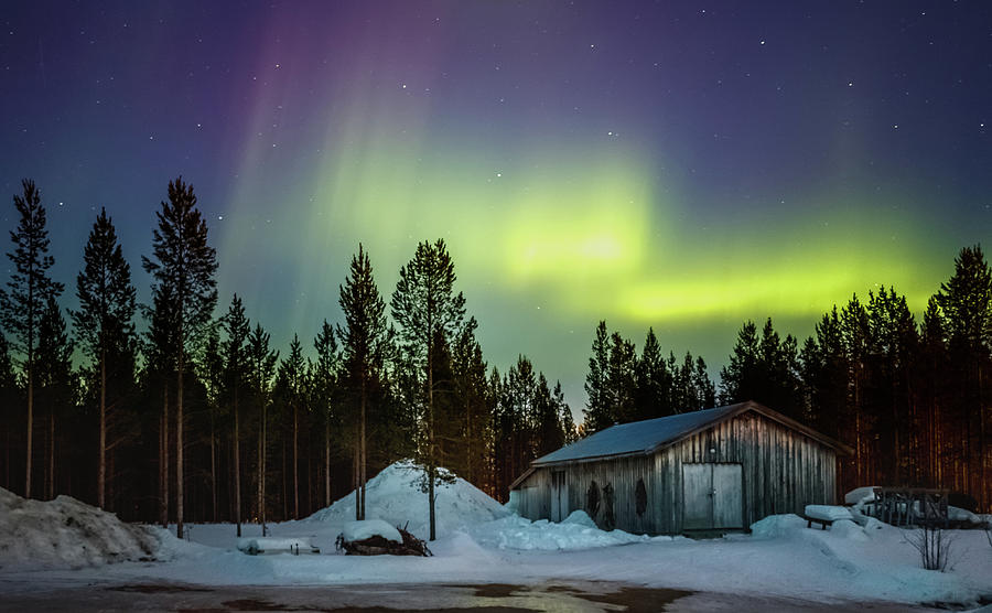 Northern Lights Sapmi Shed Karasjok Norway Photograph by Adam Rainoff