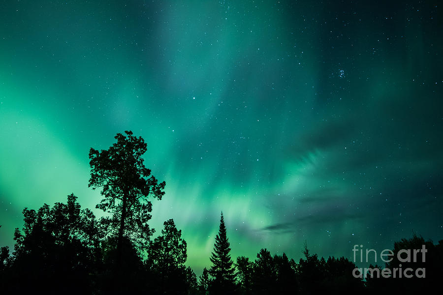 Northern Lights Tonight Photograph by Lori Dobbs