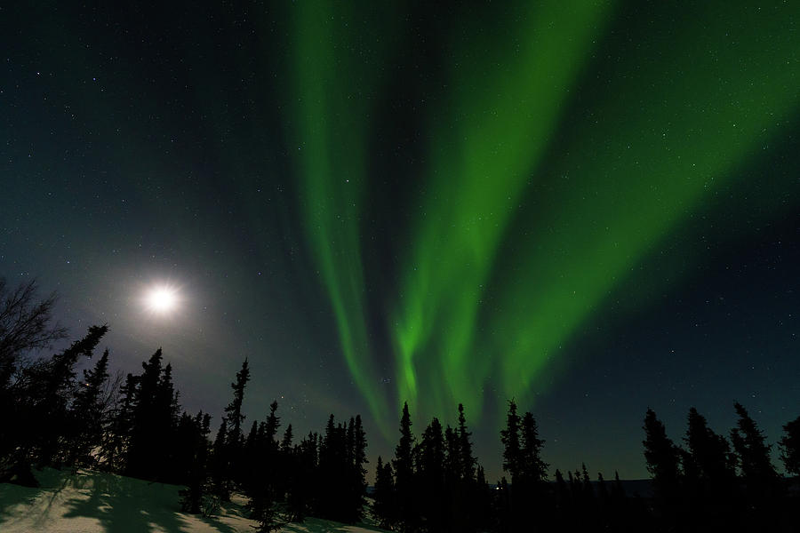 Northern lights with moon Photograph by Asif Islam
