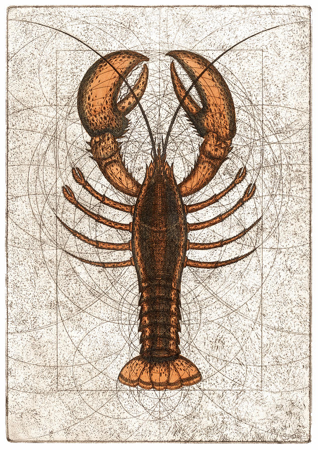 Shell Painting - Northern Lobster by Charles Harden