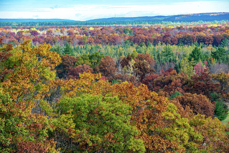 Northern Michigan Fall Photograph by Paul Johnson
