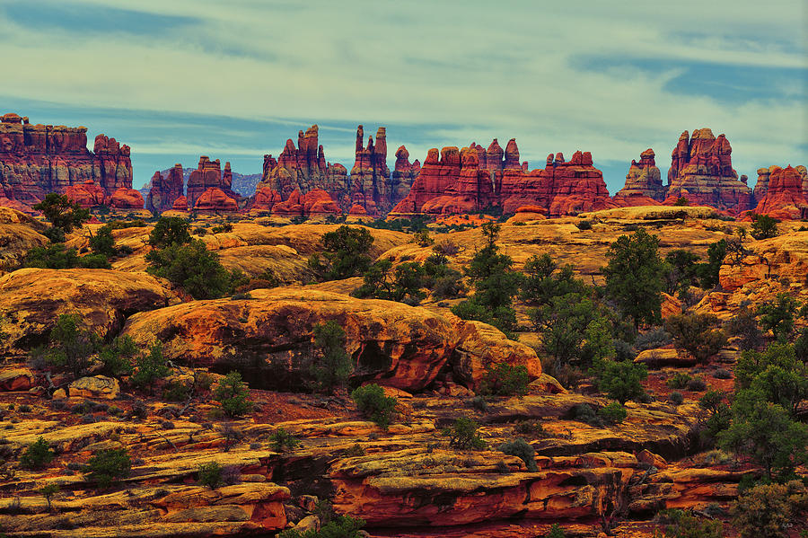 Canyonlands National Park Photograph - Northern Needles by Greg Norrell