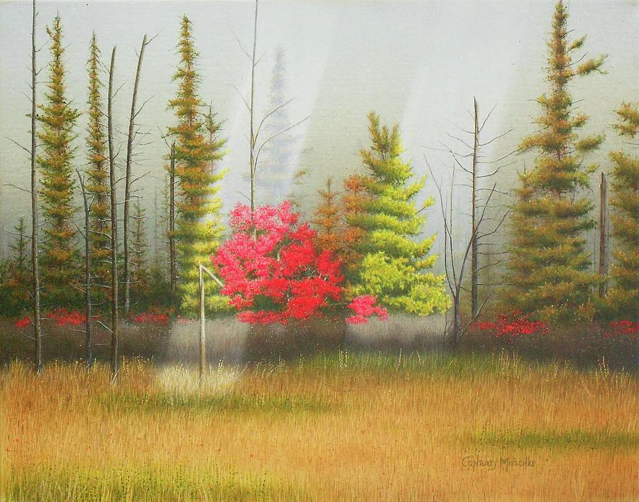 Northern Ontario Painting by Conrad Mieschke