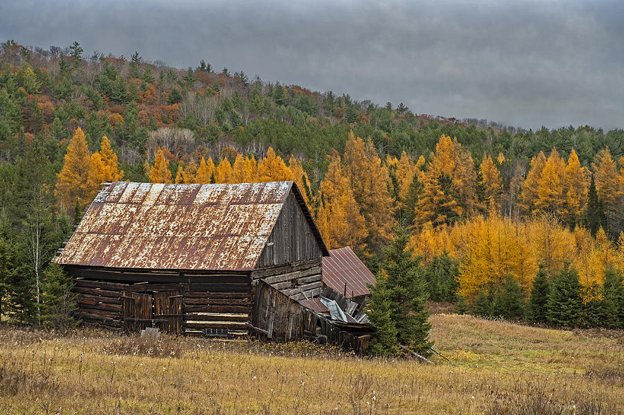 Fall Photograph - Northern Refuge by Tony Beck