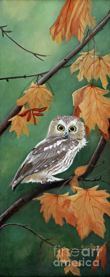 Northern Saw Whet Owl Painting by Julie Peterson