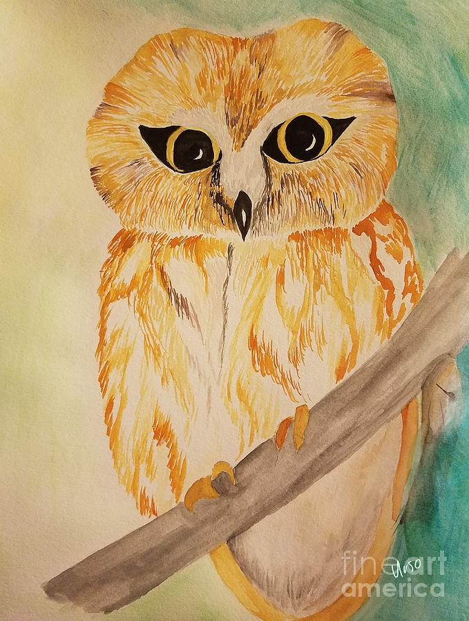 Northern Saw Whet Owl Painting by Maria Urso