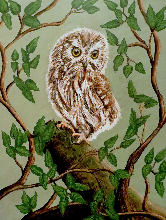 Northern Saw-Whet Owl Painting by Teresa Wing